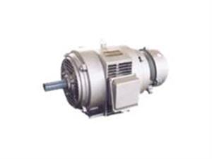 轉(zhuǎn)子電機-繞線轉(zhuǎn)子電機