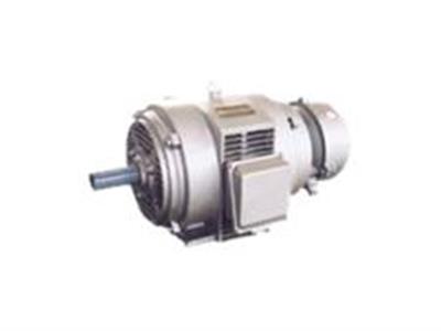 轉(zhuǎn)子電機-繞線轉(zhuǎn)子電機
